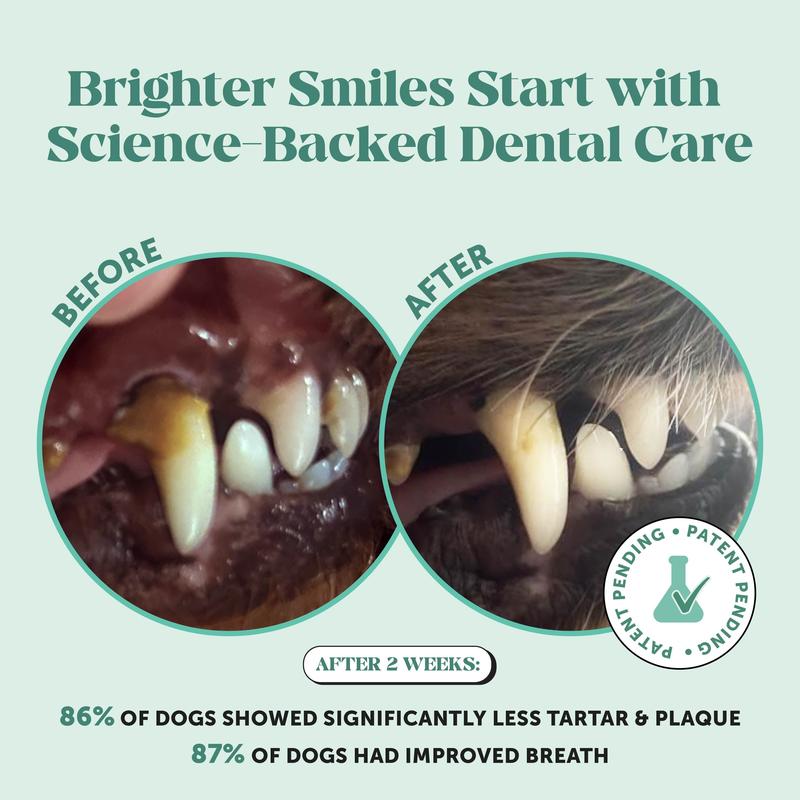 Dog Dental Powder