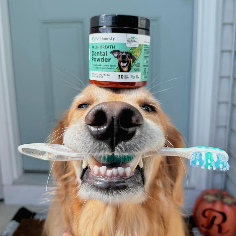 Dog Dental Powder